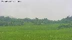 area3-20250624154050.jpg