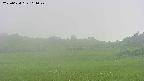 area3-20250624161048.jpg