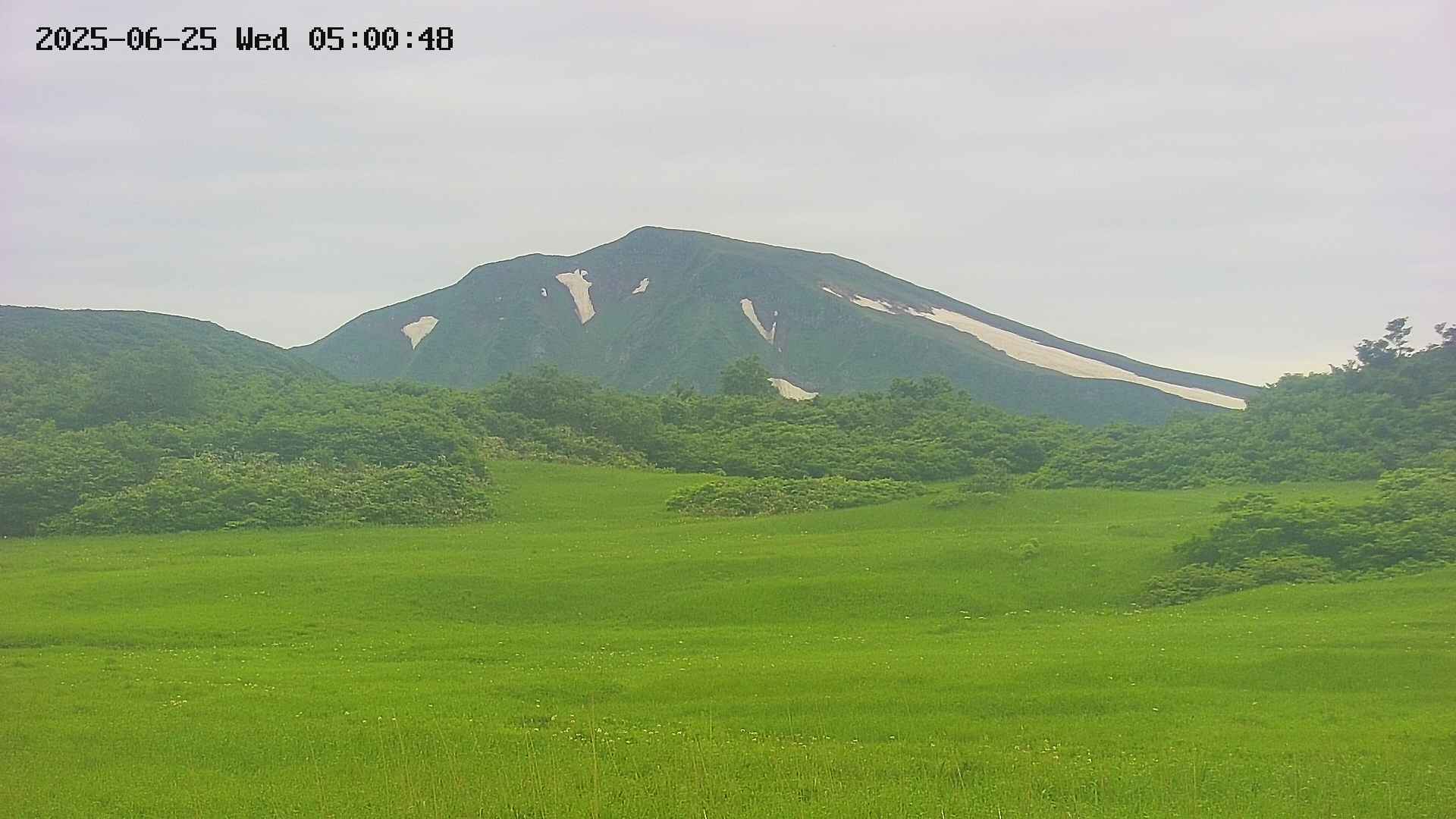 area3-20250625050049.jpg