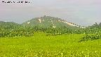 area3-20250625064049.jpg