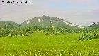 area3-20250625071051.jpg