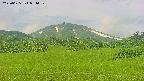 area3-20250625091051.jpg