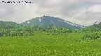 area3-20250625100047.jpg