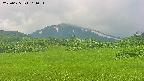 area3-20250625101052.jpg