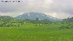 area3-20250625114051.jpg