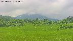 area3-20250625120048.jpg