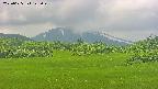 area3-20250625122050.jpg
