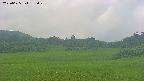 area3-20250625135047.jpg
