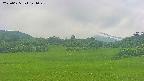area3-20250625141049.jpg