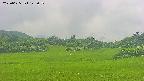 area3-20250625142051.jpg