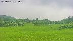 area3-20250625150049.jpg