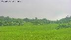 area3-20250625151047.jpg