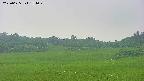 area3-20250625154050.jpg