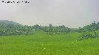area3-20250625160050.jpg