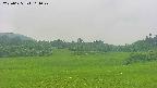 area3-20250625161047.jpg