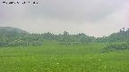 area3-20250625165049.jpg