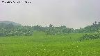 area3-20250625170048.jpg