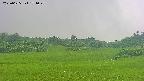 area3-20250625171047.jpg