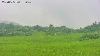 area3-20250625172048.jpg