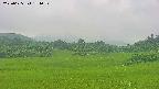 area3-20250625174051.jpg
