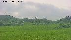 area3-20250625184051.jpg