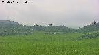 area3-20250625185051.jpg