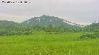 area3-20250626051054.jpg