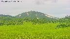 area3-20250626080056.jpg