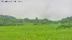 area3-20250626092051.jpg