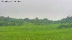 area3-20250626094052.jpg
