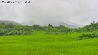 area3-20250626135048.jpg