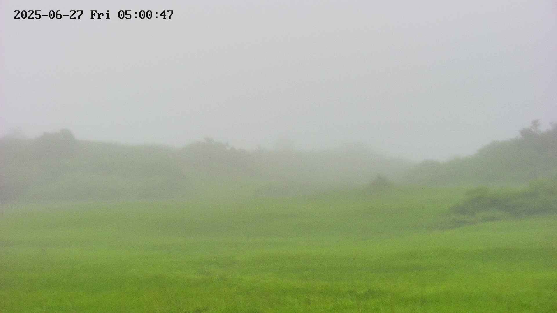area3-20250627050048.jpg