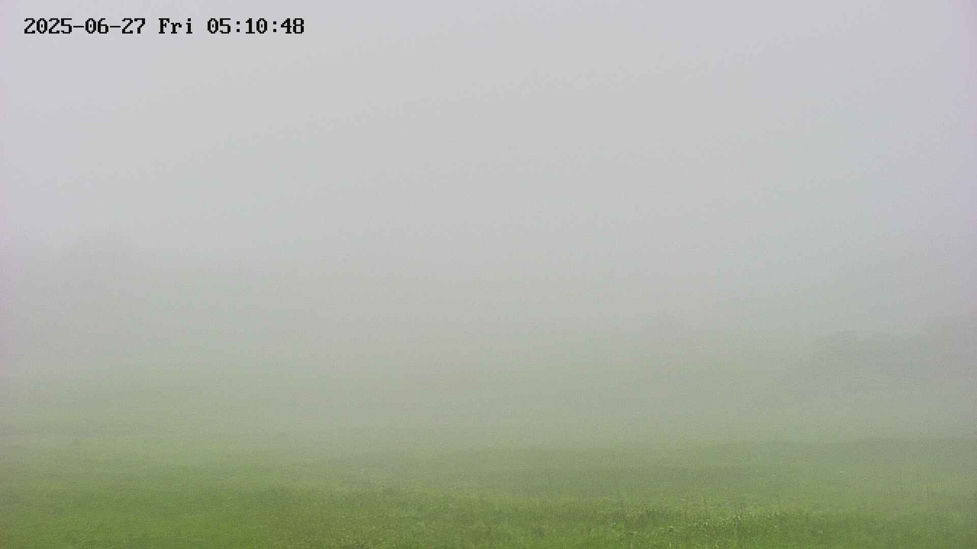 area3-20250627051049.jpg