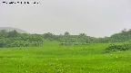 area3-20250627052047.jpg
