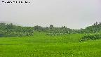 area3-20250627054050.jpg
