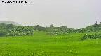 area3-20250627061046.jpg