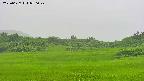 area3-20250627070048.jpg