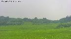 area3-20250627142049.jpg