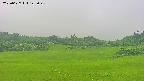 area3-20250627145048.jpg