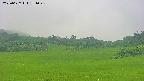 area3-20250627151047.jpg