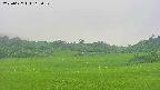 area3-20250627165051.jpg