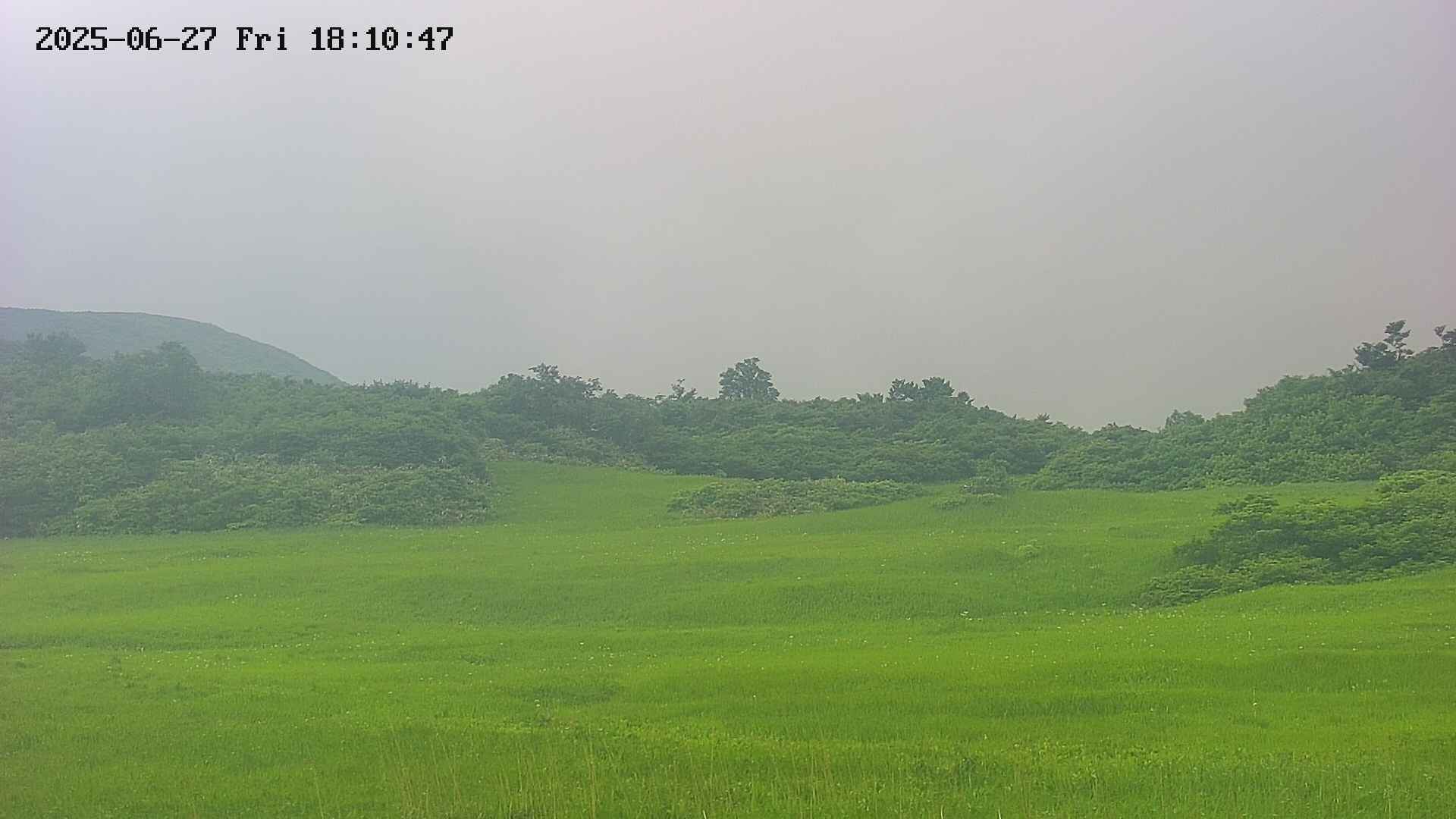 area3-20250627181048.jpg
