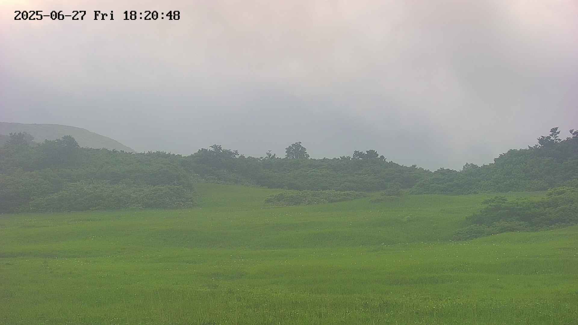 area3-20250627182048.jpg