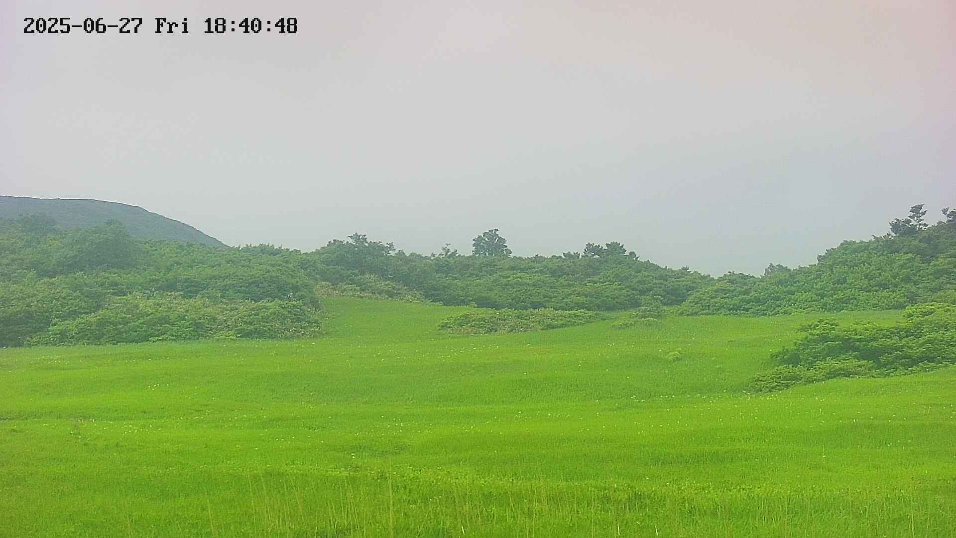 area3-20250627184049.jpg