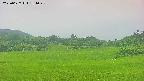 area3-20250627184049.jpg
