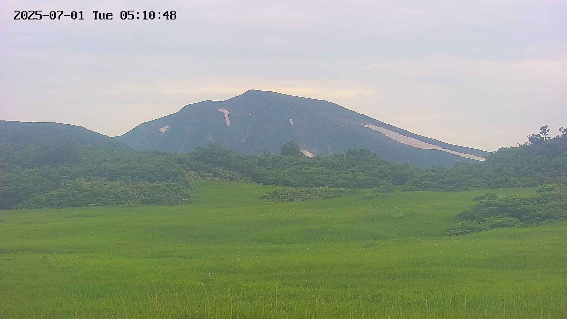 area3-20250701051049.jpg