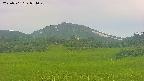 area3-20250701054050.jpg