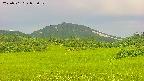 area3-20250701055051.jpg