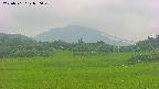 area3-20250701080049.jpg