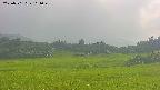area3-20250701161049.jpg